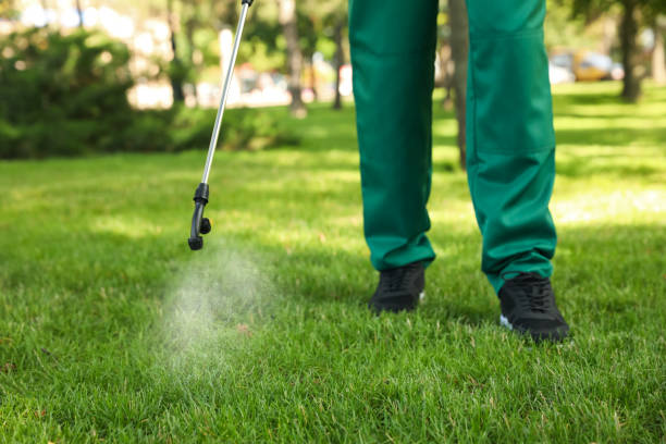 Best Pest Control for Restaurants  in Ingalls Park, IL