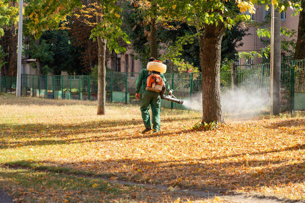 Best Emergency Pest Control  in Ingalls Park, IL